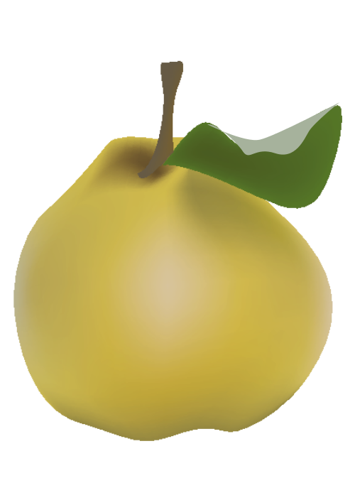 Quince fruit. Image by Bea.miau; Wikimedia Commons, CC-zero.