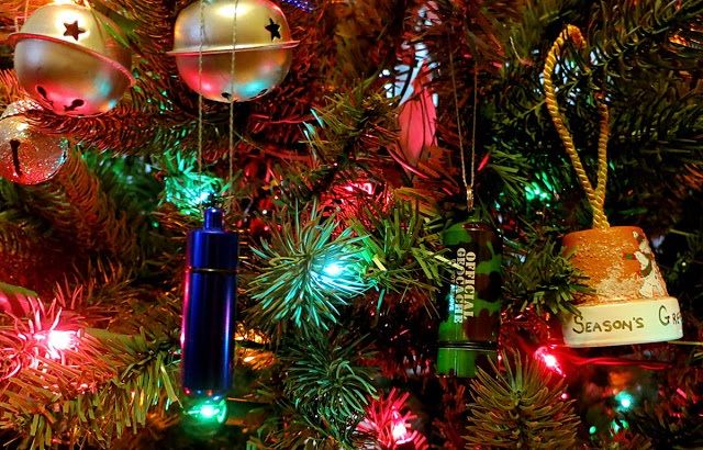 photo geocachechristmastree.jpg