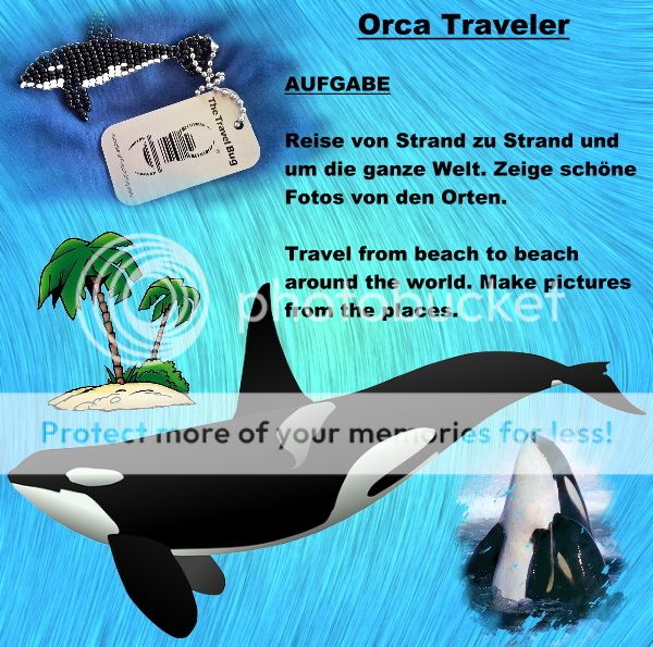 Tb54zm9 Travel Bug Dog Orca Traveler