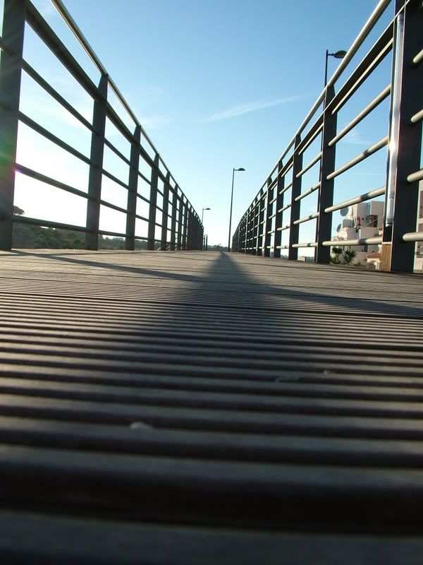 ponte1