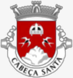 Resultado de imagem para brasões das freguesias do concelho de penafiel