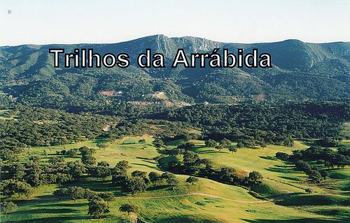  photo Trilhosdaarrabida_zpsa61ed6d8.jpg