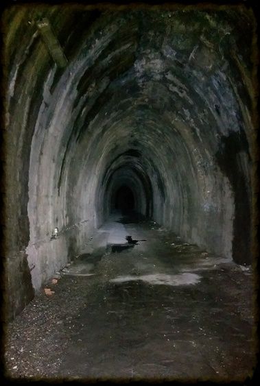  photo TunnelInside2.jpg