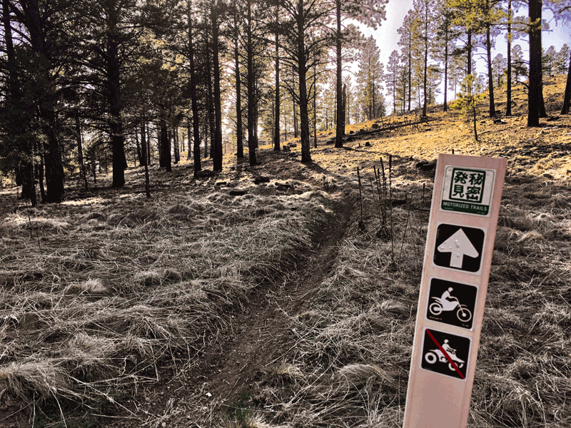 Kelly Canyon Trails