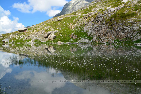 Lac des vaches - Savoie