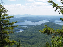 The View from the Cache