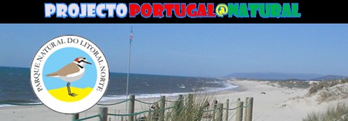 http://portugal_natural.blogs.sapo.pt/