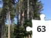 Jigsaw puzzle - Forest