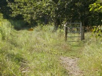 Tor in den Rieselfeldern