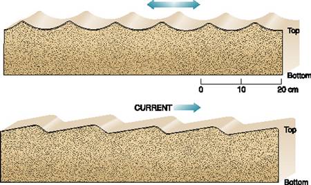 Diagram of symmetrical ripple marks and asymmetrical ripple marks