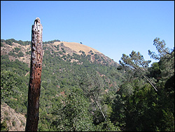 A view from somewhere near the cache