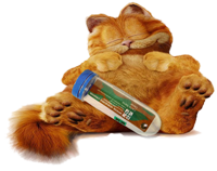 Garfield