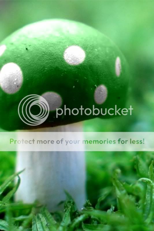 one up - green mushroom Pictures, Images and Photos
