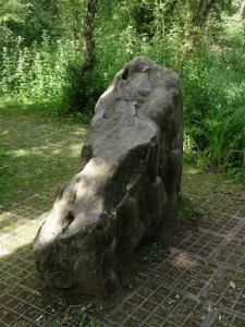 detail-la-pierre-pousse-menhir-aubigny-au-bac-nord-decouverte