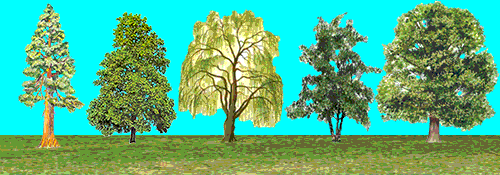 Banner van Bonus Adventure Lab Bijzondere bomen Kienehoefpark Banner van Bonus Adventure Lab Bijzondere bomen Kienehoefpark