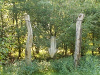 Pfeil, Klaus Schitthelm