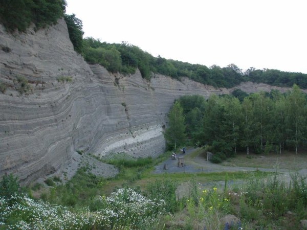 Die Wingertsbergwand