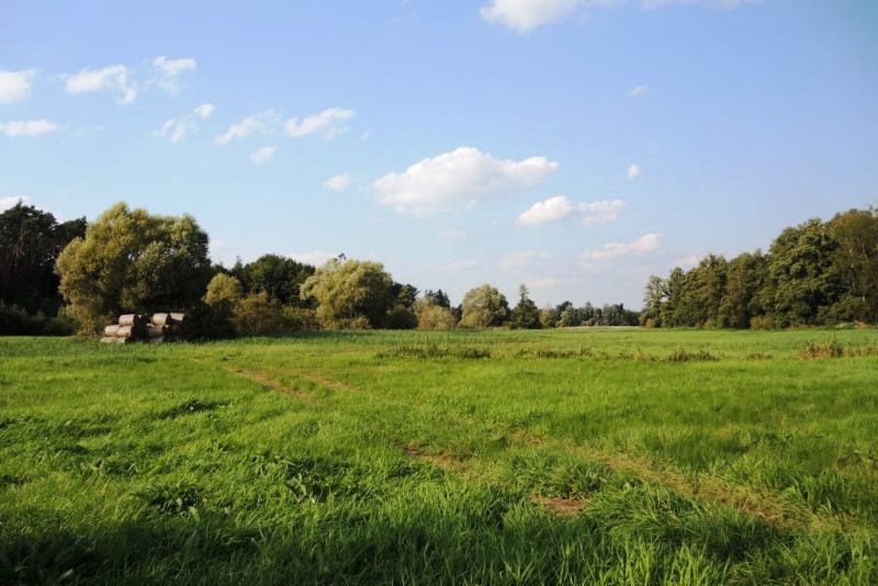 Dno doliny Samy, widok z zapory Zbiornika Radzyny, autor: A. Strzelecka