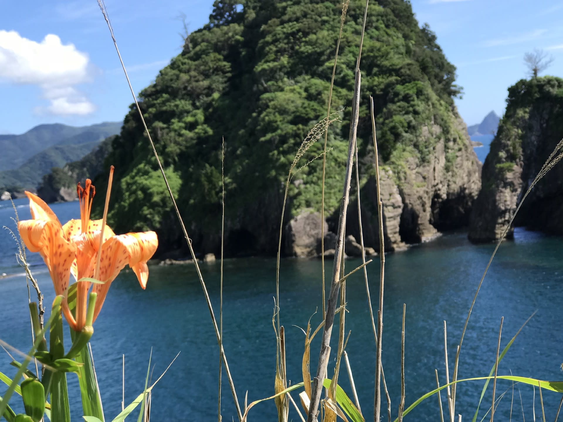 Gc7thqf はまゆり Hamayuri Traditional Cache In Shizuoka Japan Created By Hiddenori