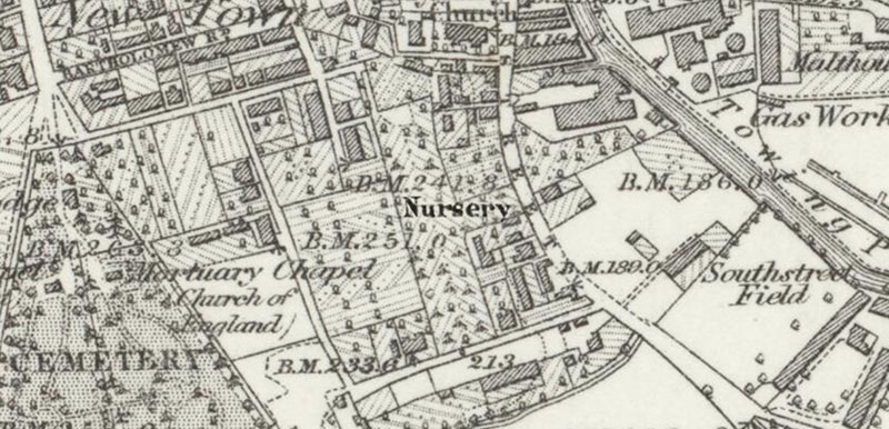 1874 ordnance survey map of bishops stortford