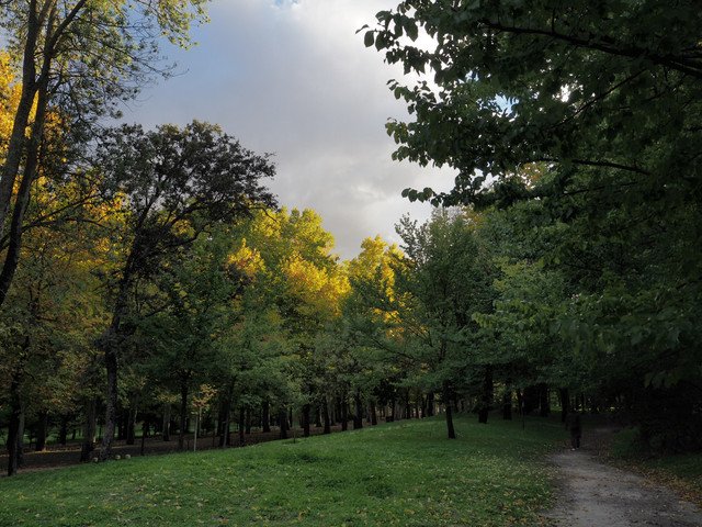 Casa-de-campo-Madrid