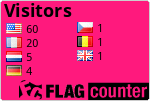 Flag Counter