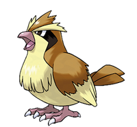 Pidgey