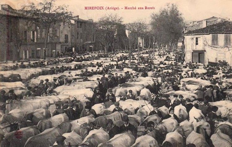 foire aux boeufs en 1910