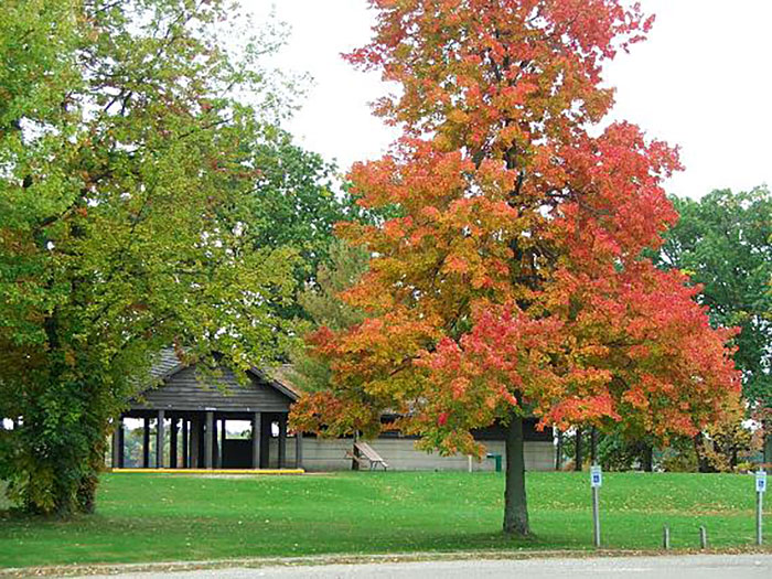 Yankee Springs RA: Hall Lake Trail