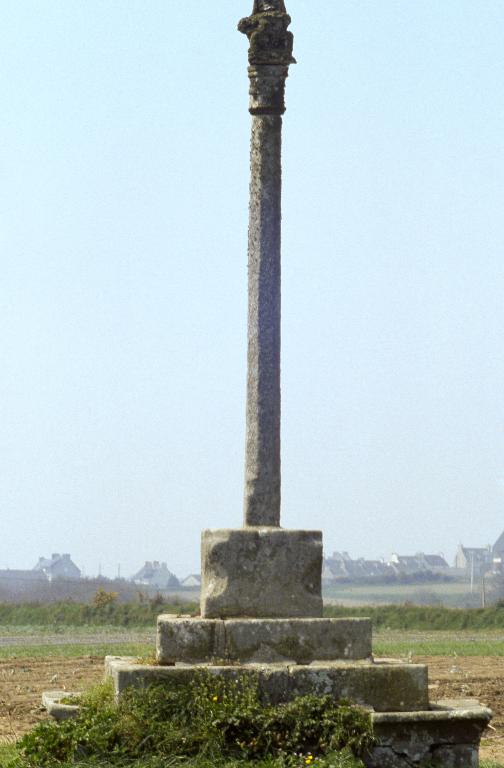 Cornamis
