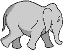 animated-elephant-image-0331