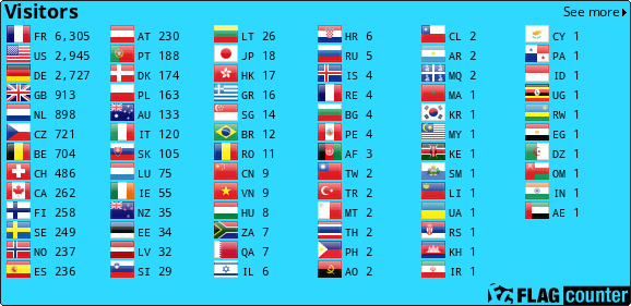 Flag Counter