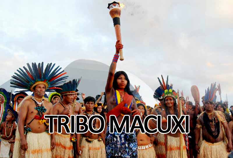 Tribo Macuxi