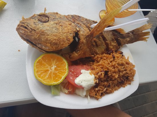 Image result for fried snapper panama
