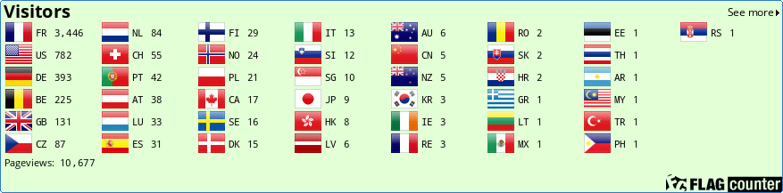 Flag Counter