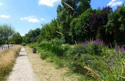 La Bièvre à Massy