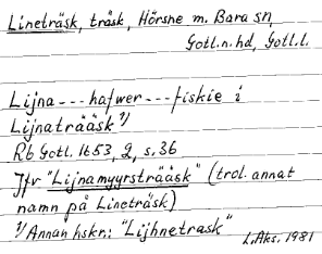 Occurrence of the name Lina in the form Lijna