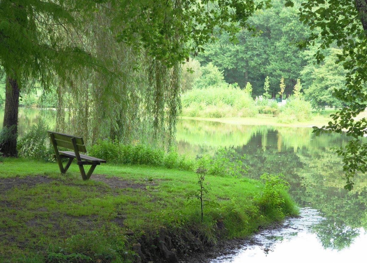 Lac de Christus, Saint-Paul-les-Dax ( Landes 40 ) AA