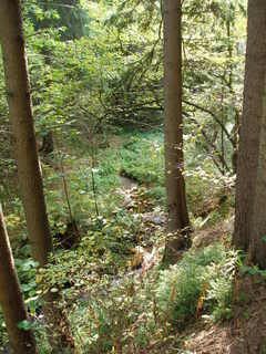 &Uacute;dol&iacute; potoka 2