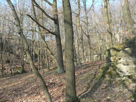 Steinbruch am Auenbach - West