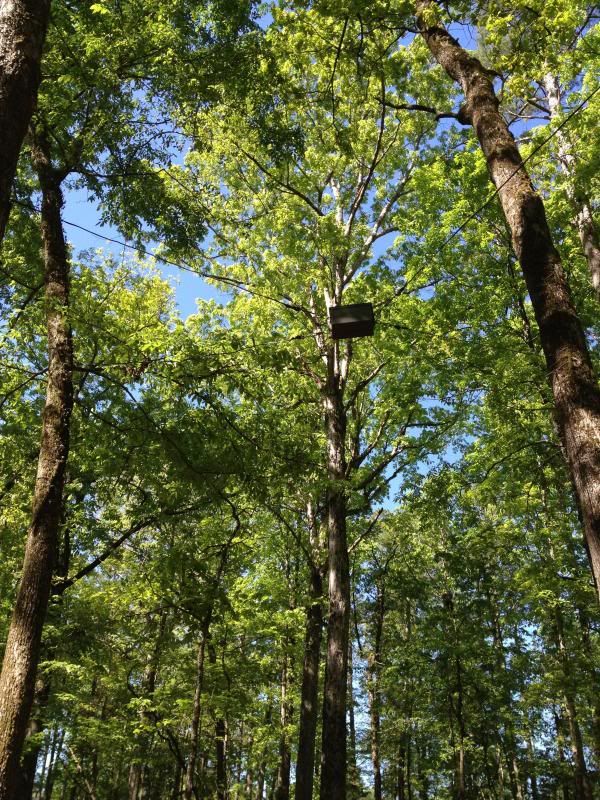  photo IMG_9202_zps69a910f4.jpg