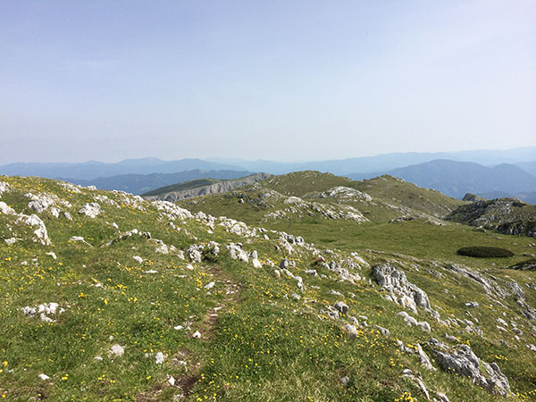 [ Mitteralpenplateau ]