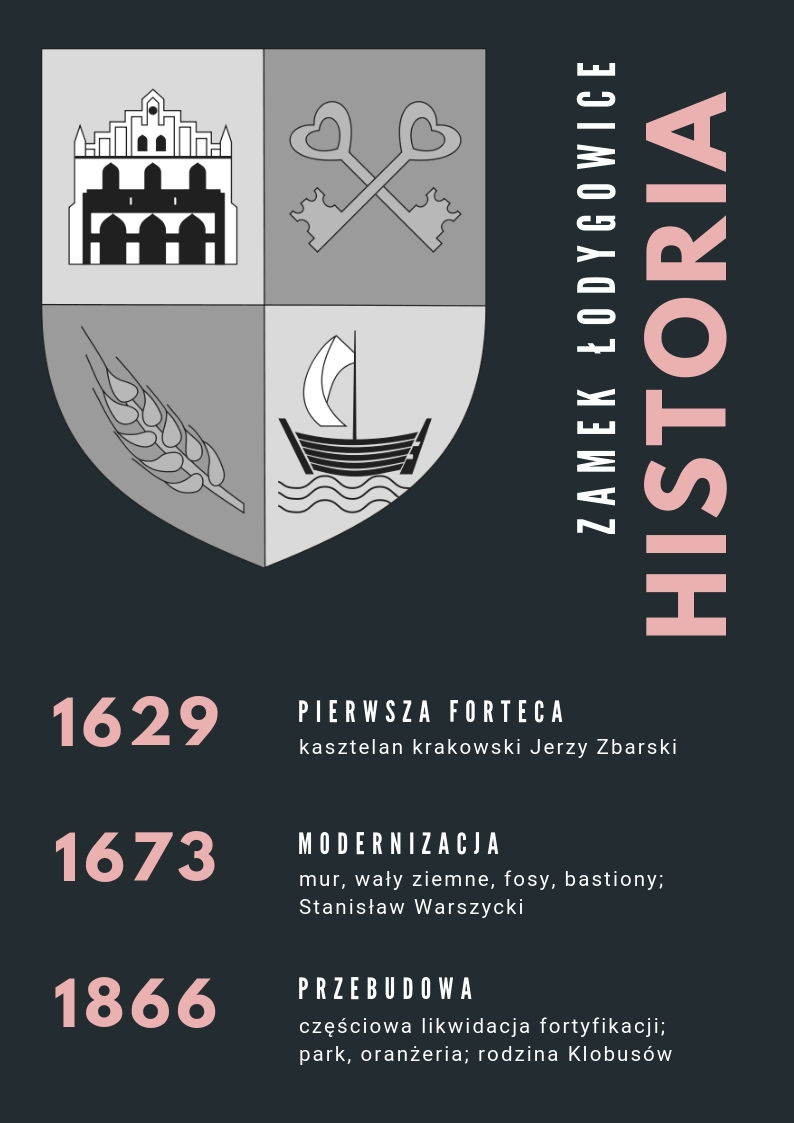 Historia Zamku w Łodygowicach