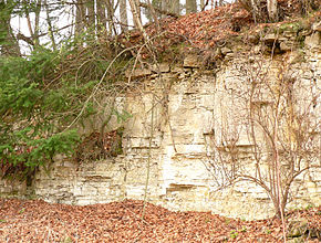 Elmkalkstein Hang.jpg