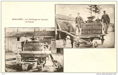 Bar le Duc pressoir