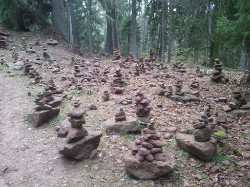 Stones in the forest