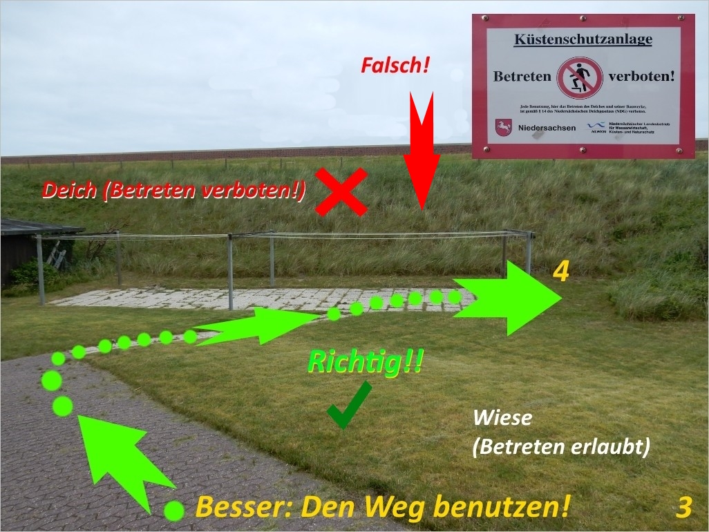 Bild_3 Bild_3