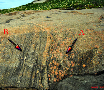 Enxames e estruturas fluidais