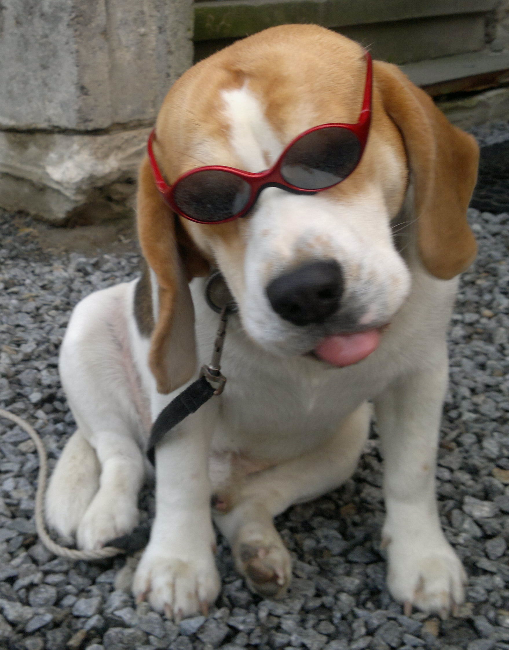 Kostenlos Bilder und Fotos hochladen