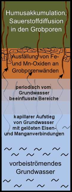 Profilschema